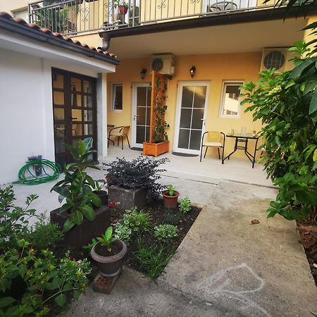 Radovic Apartments Будва Номер фото