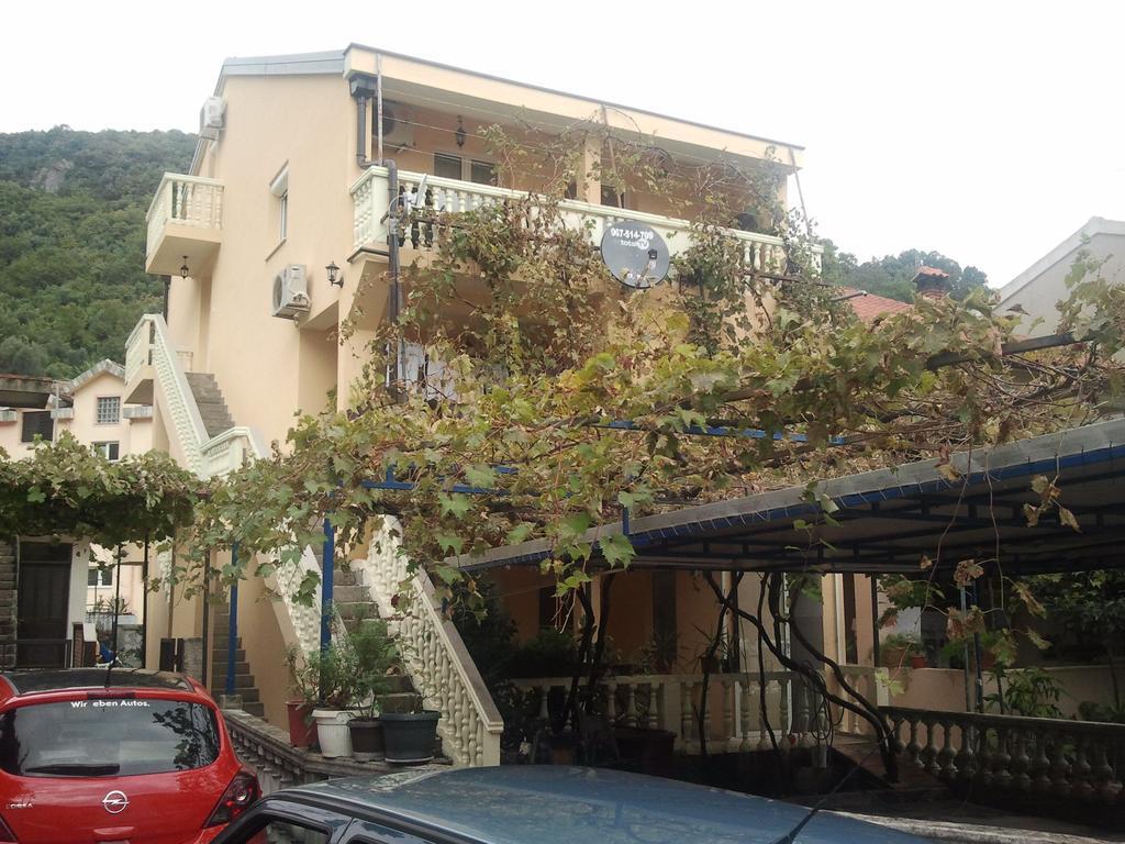 Radovic Apartments Будва Номер фото